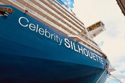 Celebrity Silhouette